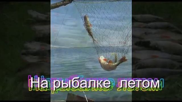 Мы рыбачим в Паньшино...!.mp4 смотреть онлайн
