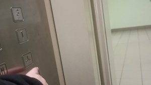 Лифты (ЩЛЗ-2017 г.в) в детской поликлинике №105 филиал №1 V=1 м/с Q=630-400 кг (315)