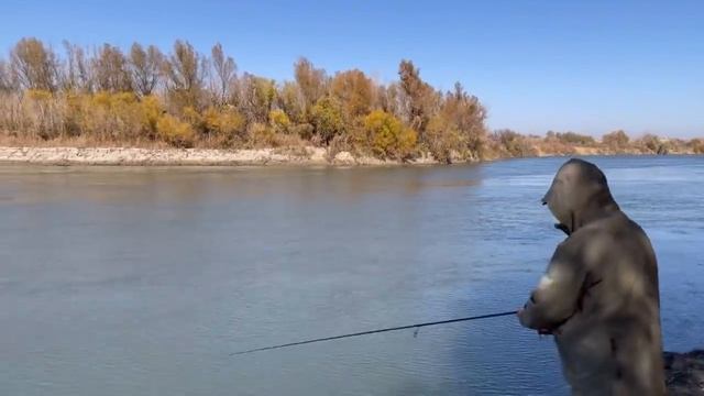 ЛОВЛЯ ЖЕРЕХА !!! ОСЕНЬ ? Рыбалка на Каратале, сезон жереха 2021, как поймать жереха.Талдыкорган. смотреть онлайн