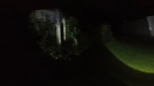 APARIÇÃO ASSUSTADORA DE CASAL FANTASMA CAUSA TERROR DURANTE INVESTIGAÇÃO! смотреть онлайн