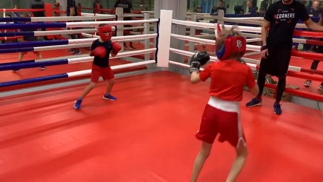 Бокс. Бой между мальчиком и девочкой. Boxing. Fight between boy and girl 8 years old смотреть онлайн