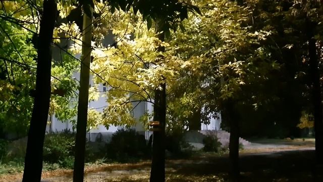 Лена и Ваня LIFE \ Лена в ужасе от того, как живут РАБОТАЮЩИЕ люди! \ Обзор влогов смотреть онлайн