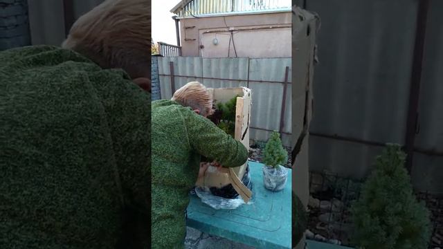 Розпакування посилки замовленої через ФБ групу Питомники декоративных растений смотреть онлайн