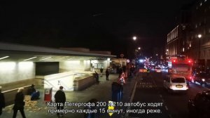 Автово-Петергоф: сколько ехать, как добраться, маршрутка и автобус, расписание