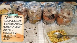Домашние консервы из речной рыбы без Автоклава. Мой рецепт.#еленазагороднаяжизнь