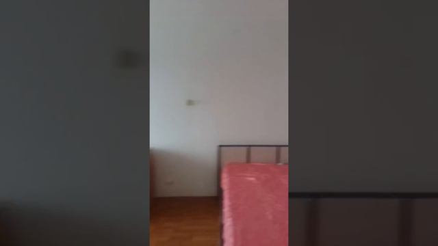 Продаю 3к квартиру г. Саратов по ул. Соколовой 10/16 "Панорама" 5200000₽ 91кв.м. 4 этаж смотреть онлайн