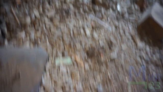 Блохи в доме. МирДез (2022г) 13 смотреть онлайн