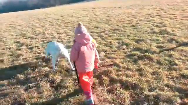 Argentino dogo La Rosa De Inca & Lucka смотреть онлайн