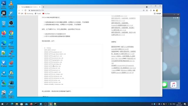 000033 TikTok收看的技术指南，规则清单，收看TikTok的必备技术教程 20211201 смотреть онлайн