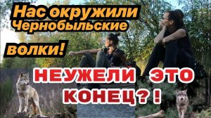 Часть 8. Убегаем от волков на пруду-охладителе ЧАЭС. Смотреть до конца! Поход в Припять2020.