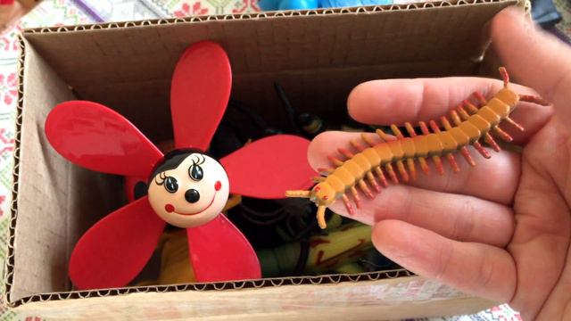Нашествие насекомых. Образовательное видео для детей Insect invasion. Box of toys insects. смотреть онлайн