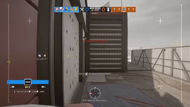 Matthew Daisy Destruction