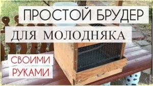 ПРАВИЛЬНЫЙ и очень простой БРУДЕР для цыплят своими руками.