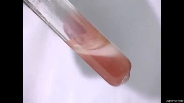 Качественная реакция на альдегиды с гидроксидом Cu ( Вывод) смотреть онлайн