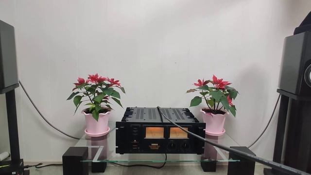 Magnat Signature 903, Yamaha PC2002M смотреть онлайн