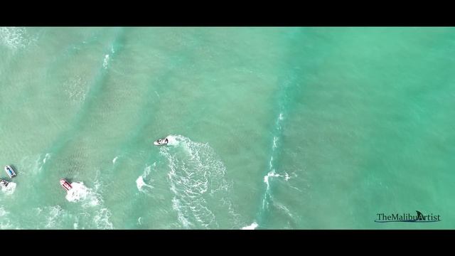 Finding Bull Sharks in Waist Deep Water in Florida & Sharks Surfing the Waves смотреть онлайн