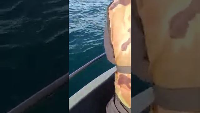 Рыбалка в северной Карелии 2 смотреть онлайн