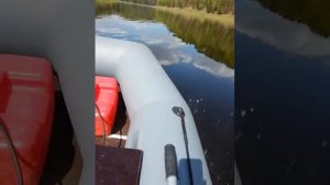 Лодочный мотор hidea 5 лс 4 такта