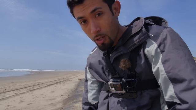 Do sand FLEAS taste good?? смотреть онлайн