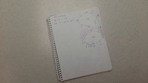 МК "Простой джемпер" // Реглан сверху // Ложная кеттлевка, с ростком