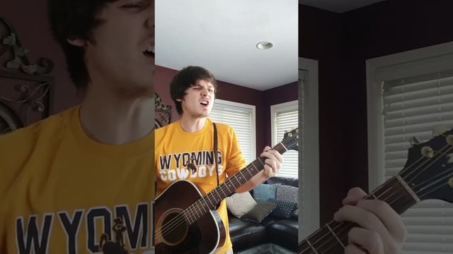 "Always Look on the Bright Side of Life" - Eric Idle, Monty Python (acoustic cover) смотреть онлайн