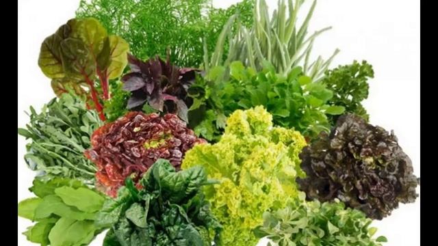 Кальций для организма. Продукты богатые кальцием. смотреть онлайн