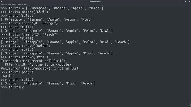Strings, Lists, and Dictionaries in Python | Google IT Automation with Python Certificate смотреть онлайн