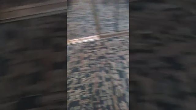 Wheat ridge police trespass me from hotel after I'd paid room. No citation, no court смотреть онлайн