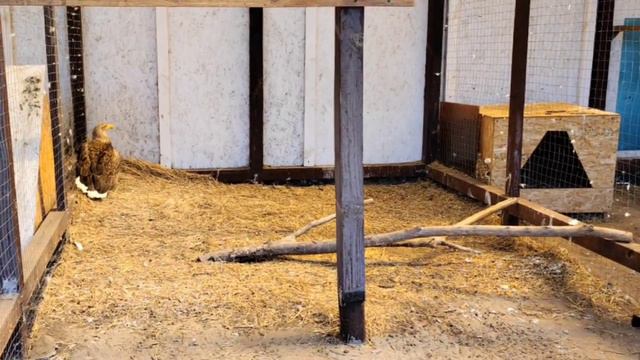 Первые на Первом