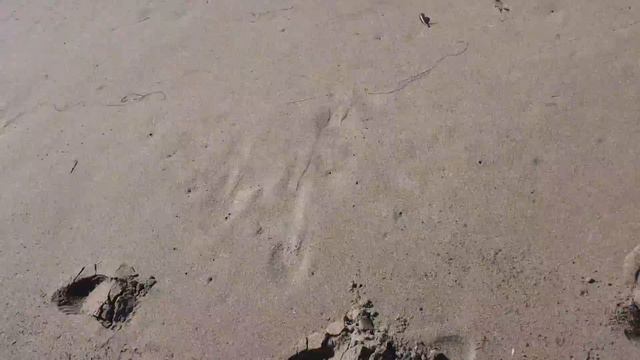 Тихий океан смотреть онлайн