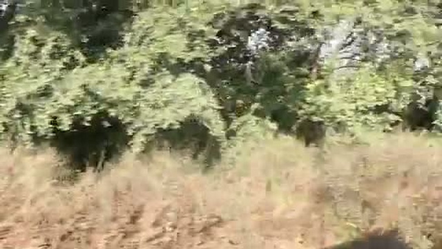 Хиндустания