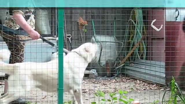 В Гостях у Хранителей Гор 2 смотреть онлайн