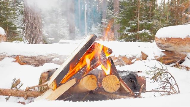 Костер в зимнем лесу, огонь для сна, Relax. Звукотерапия.