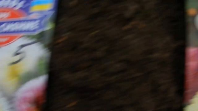 Осенние заботы смотреть онлайн