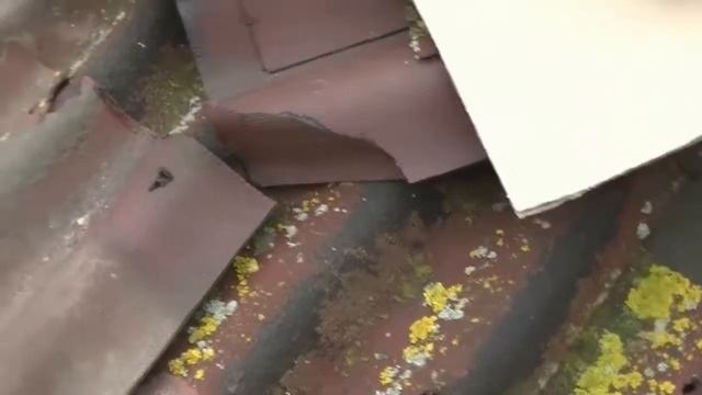 Состояние Ондулина после 15 лет на сплошной обрешётке смотреть онлайн