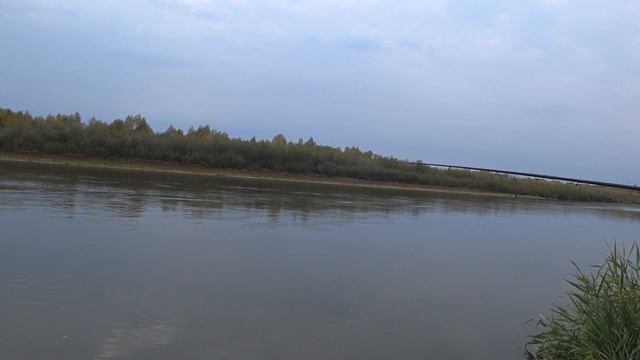 Фидер в ТЕМЕ! Рыбалка на реке Сура осенью смотреть онлайн