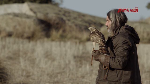 Время ястреба смотреть онлайн
