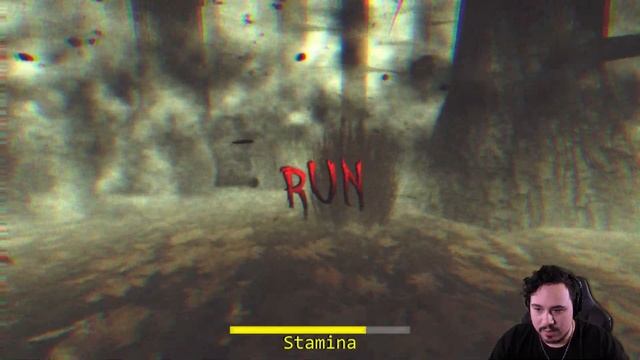 THESE BUGS AND TURTLES ARE CRAZY | The Debug (Indie Horror Game) смотреть онлайн