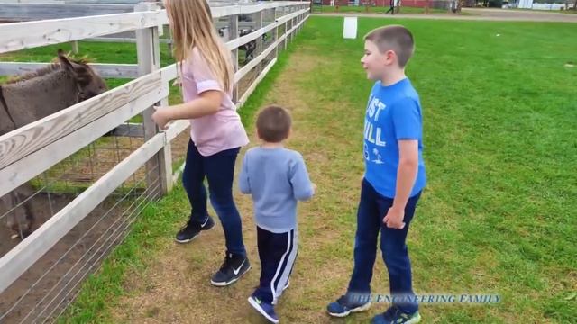 Assistant and Batboy Ryan Ride Slides and play with animals at the Fun Farm смотреть онлайн