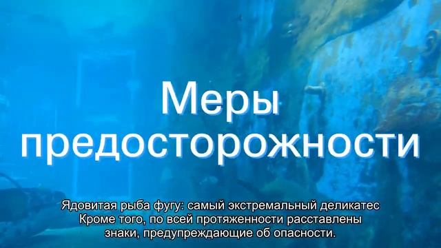 Экстремальный аттракцион: Дорога Пассаж дю Гуа смотреть онлайн