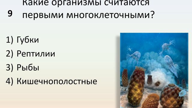 Б9 41 Жизнь в архейскую и протерозойскую эры