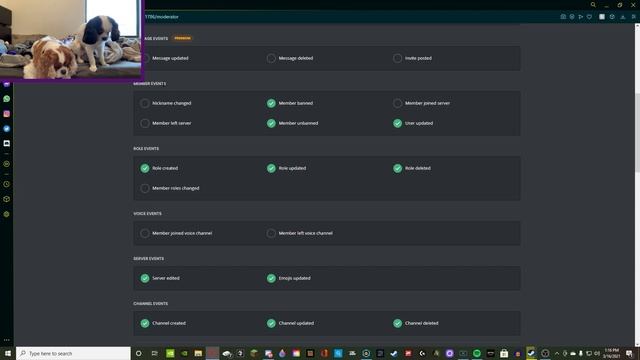 How to setup and use an Audit Logging Channel in Discord! смотреть онлайн