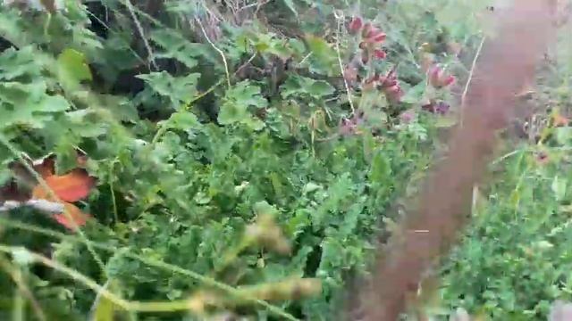 Водопад Терскол. P.s. первые 13минут, звук очень плохой(микрофон в кармане был) смотреть онлайн