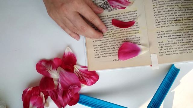 How to dry flowers beautifully? Tulips flat drying in a book смотреть онлайн