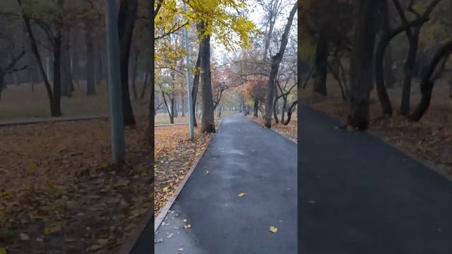 Новости из Казахстана 7.11.2023 смотреть онлайн