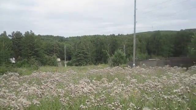 Участок Красноярск. Таскино. (391) 2-51-09-08 Дача летом смотреть онлайн