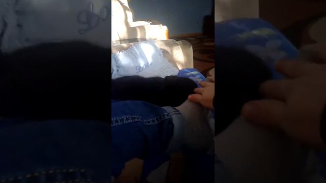 Кошка кусает меня за ногу смотреть онлайн