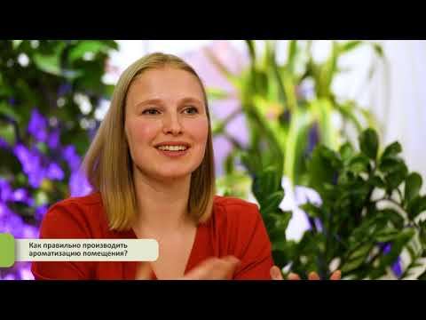 Ароматизация эфирными маслами смотреть онлайн