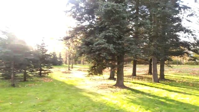 Египетские ворота, Пушкин смотреть онлайн