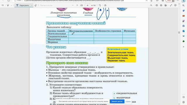 14.Ткани животных смотреть онлайн